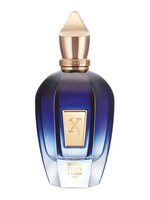 XERJOFF MORE THAN WORDS EDP 100 ML